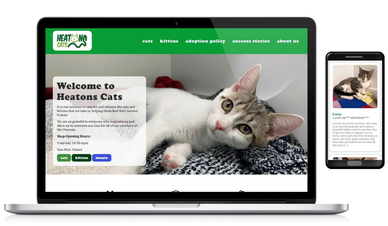 heatons cats screenshot heatons cats screenshot